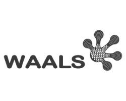 waals