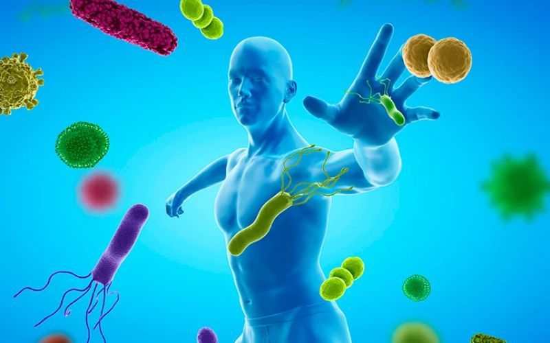 Fisiología de la salud. Cap.3. Sistema inmune